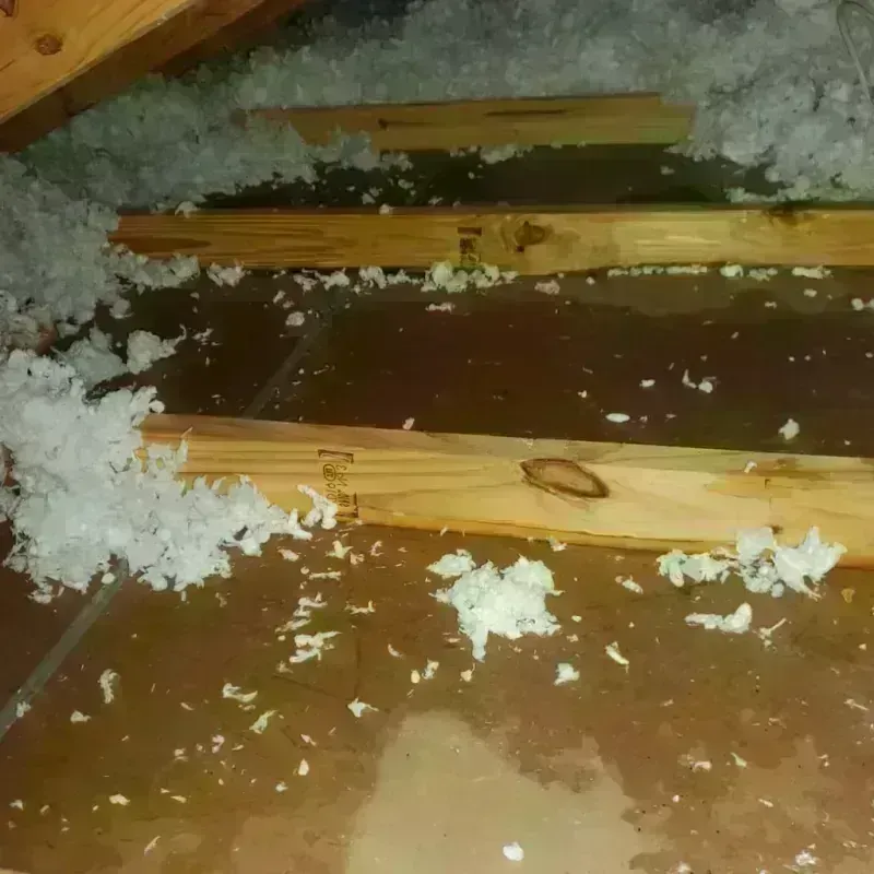 Attic Water Damage in Sunapee, NH